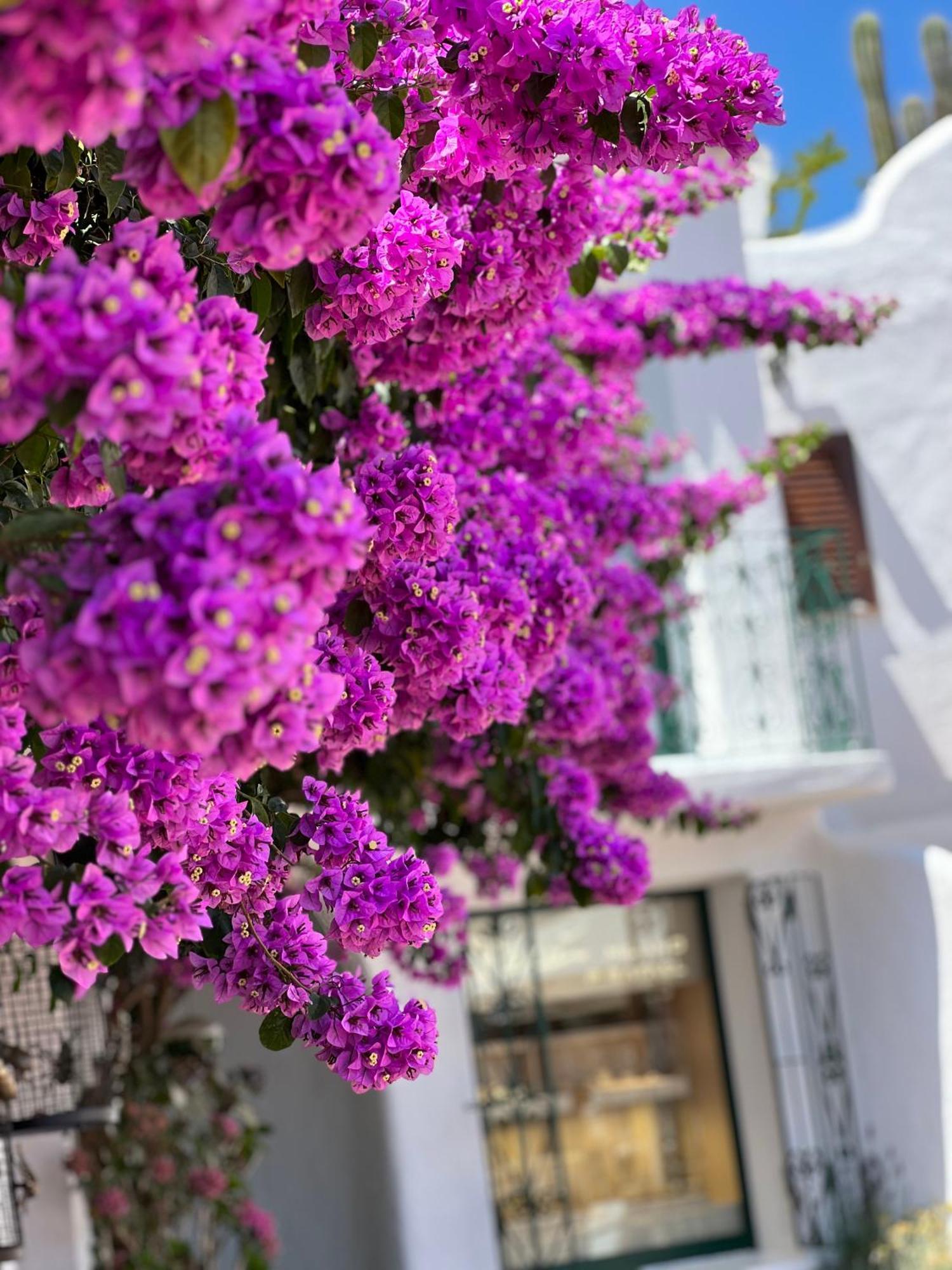 Boutique Hotel Solaz Porto Rafael Kültér fotó